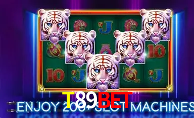 T89 game